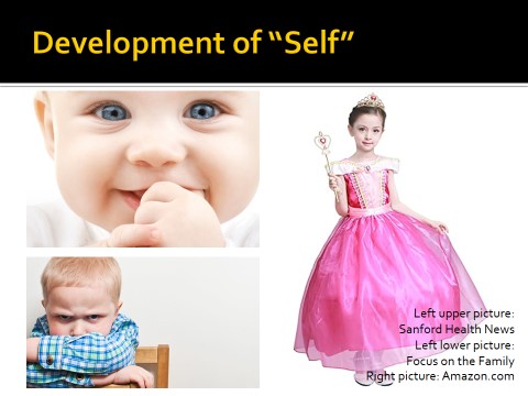 พัฒนาการของ Self (Development of Self)