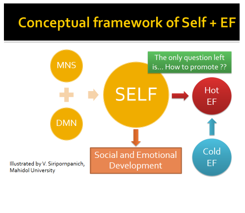 EF เกี่ยวข้องกับ Self ได้อย่างไร ในทางประสาทวิทยาศาสตร์